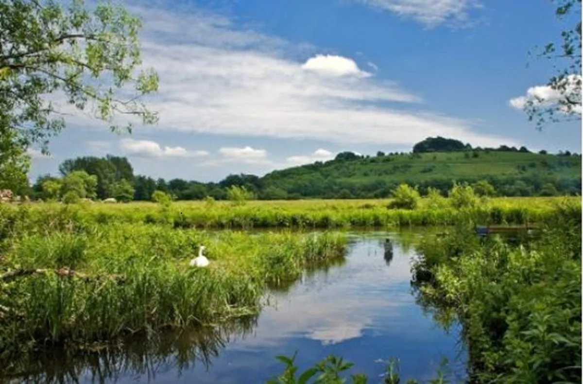 water meadows.jpg