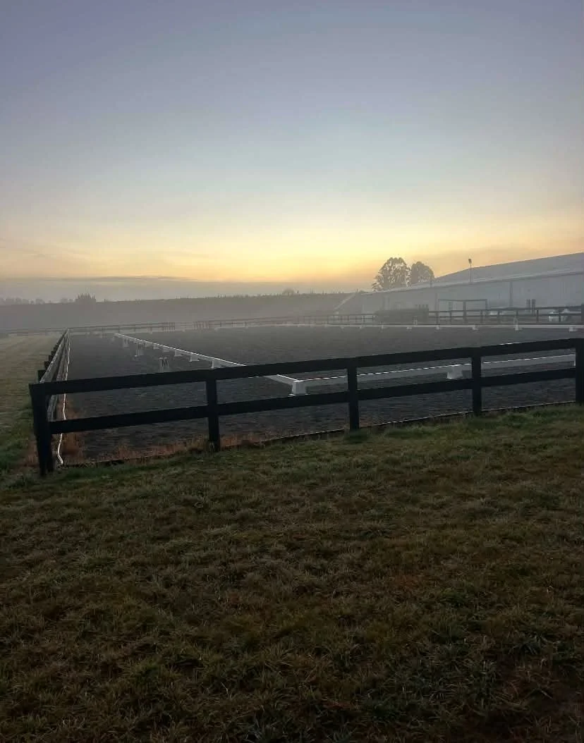 Dressage arena.jpg