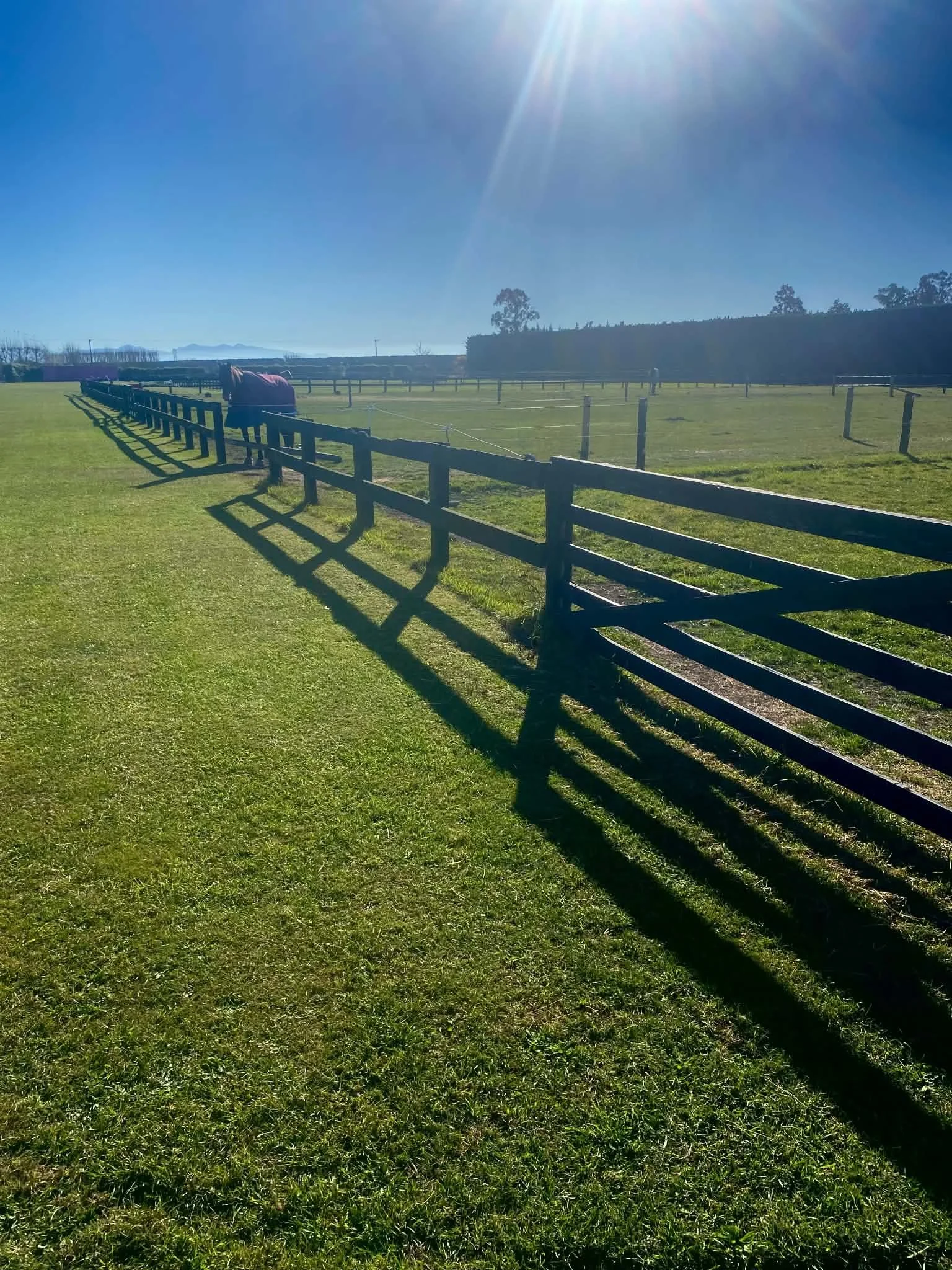 Agistment fence.jpg
