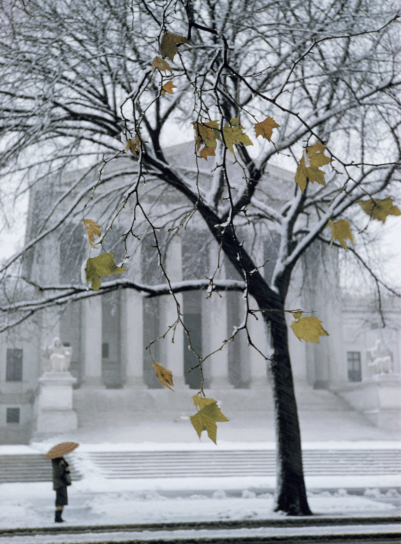 Supreme Court - West Front in Winter