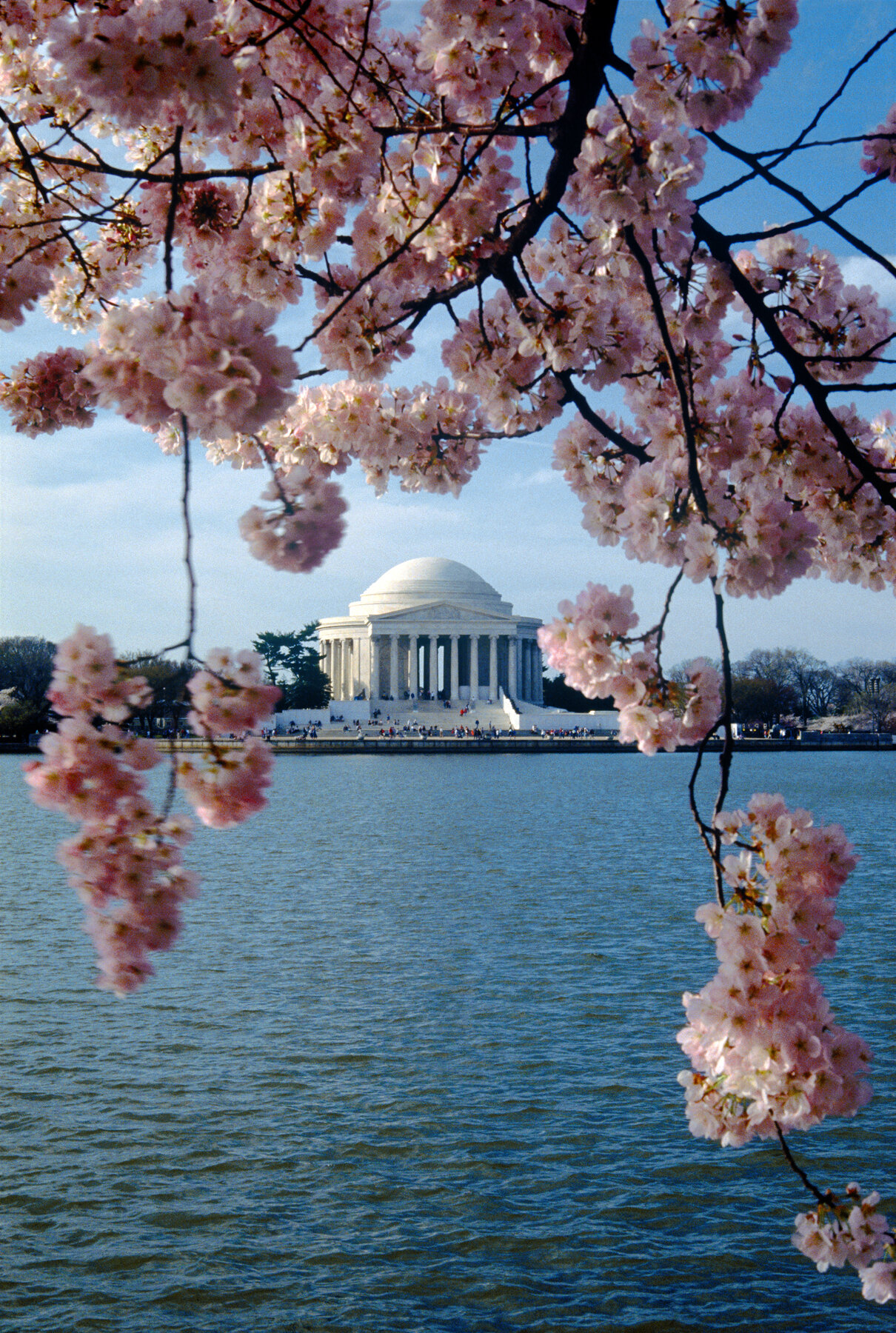 Jefferson Memorial - Springtime