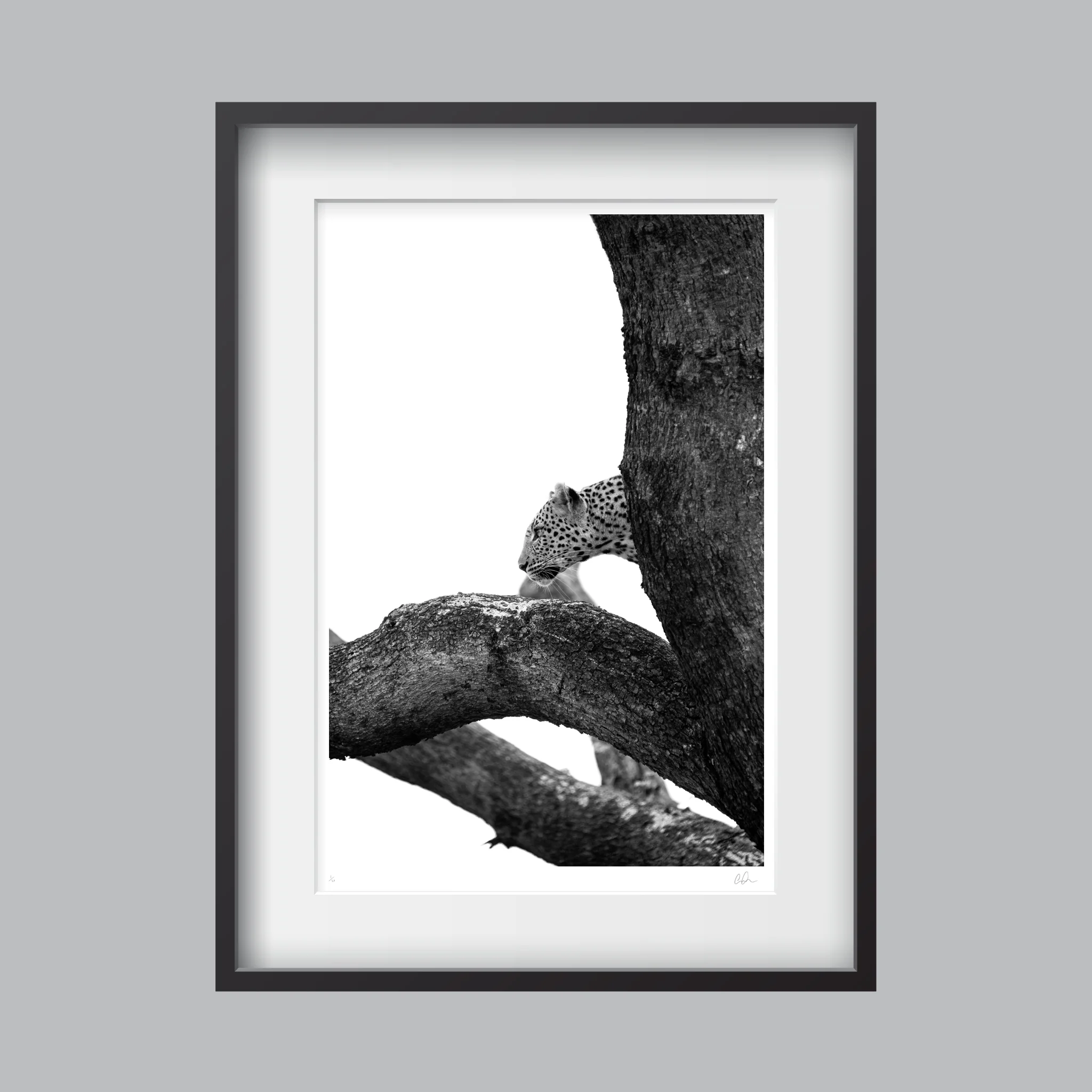 PEEKABOO_FRAMED2.jpg