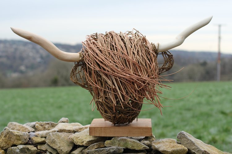Highland Head
