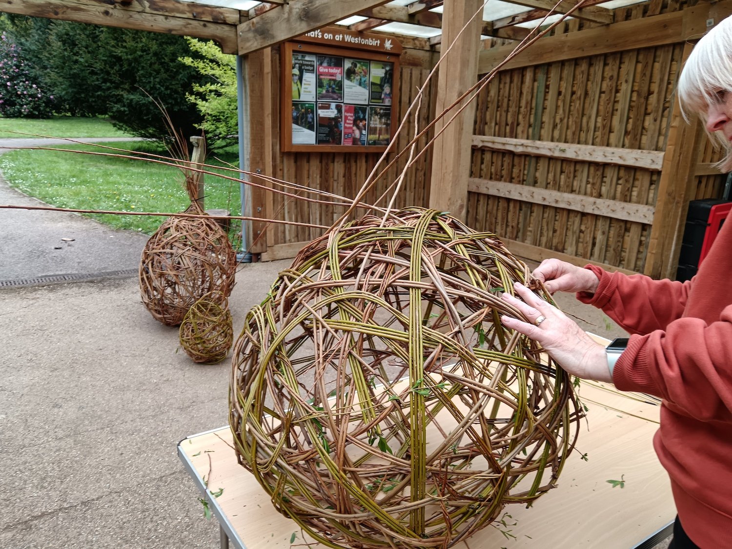 Westonbirt-Willow-Sculpture-Workshop-2.jpg