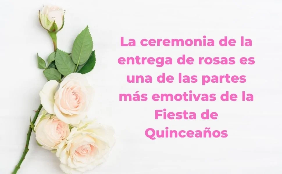 Fiesta de Quince Años: Guía para organizar una quinceañera — Espacio
