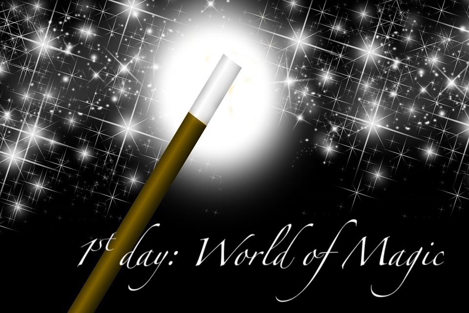 Day 1: The miracle of life