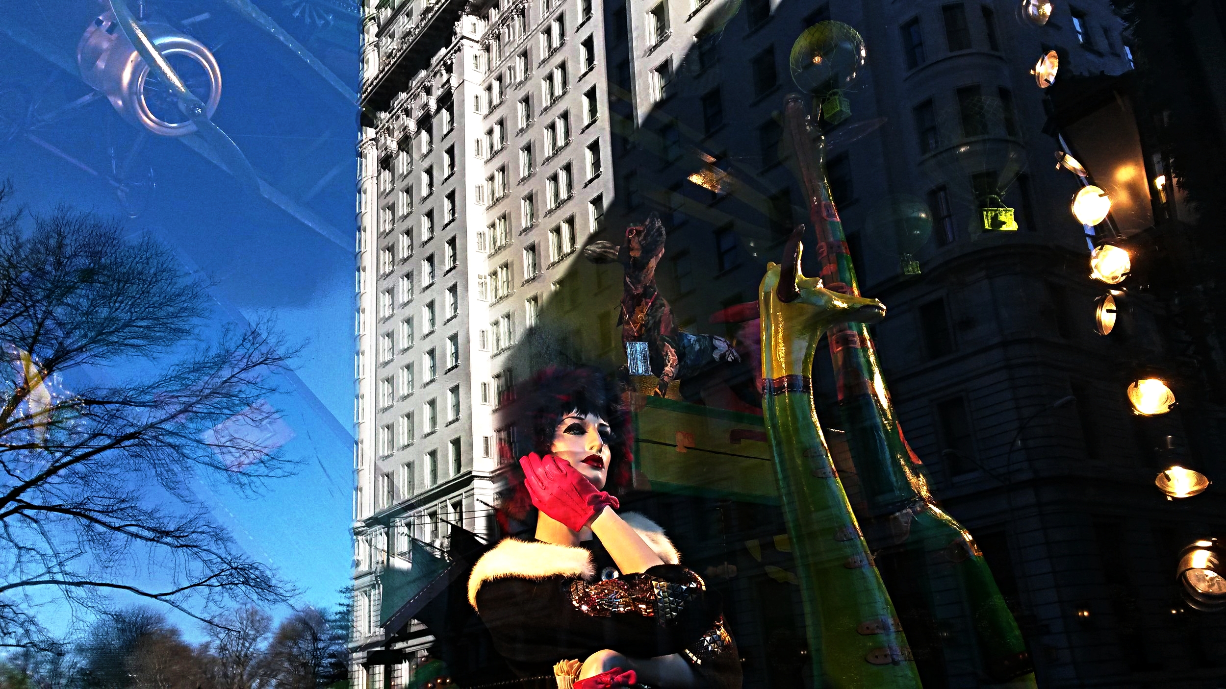 20161225_123817.jpg
