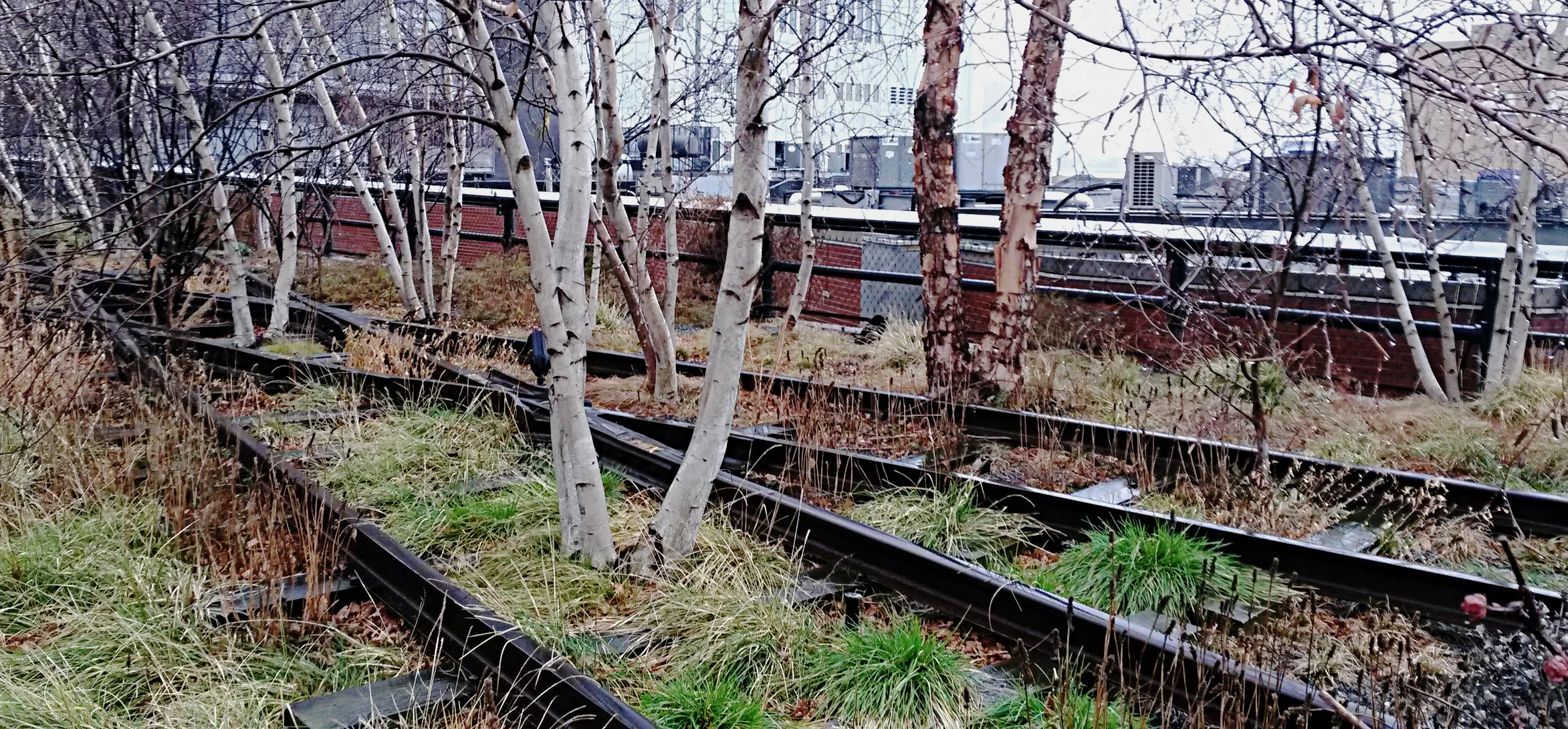 20161229_121503.jpg
