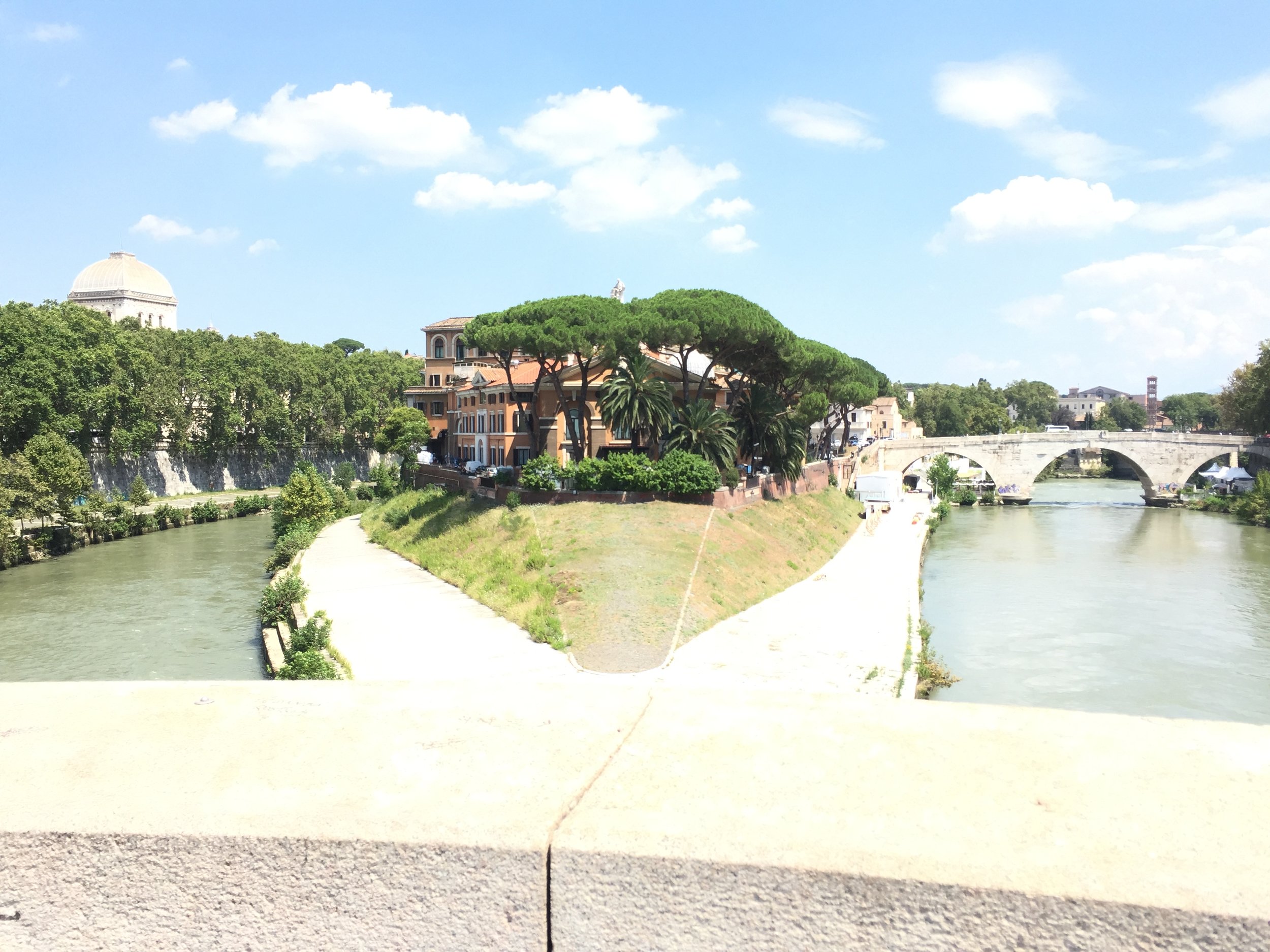 IMG_7961.jpg