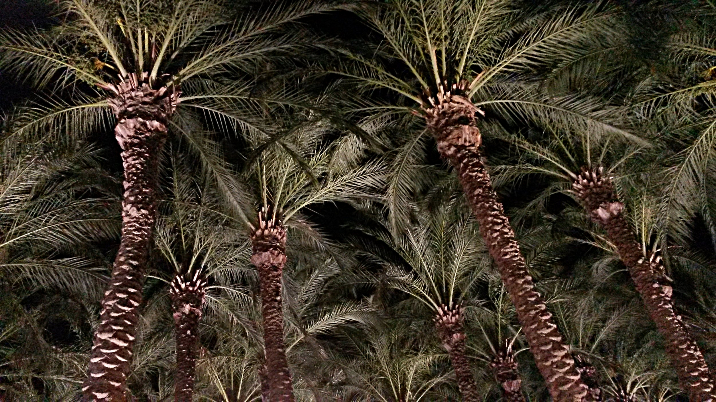 20160724_204750.jpg