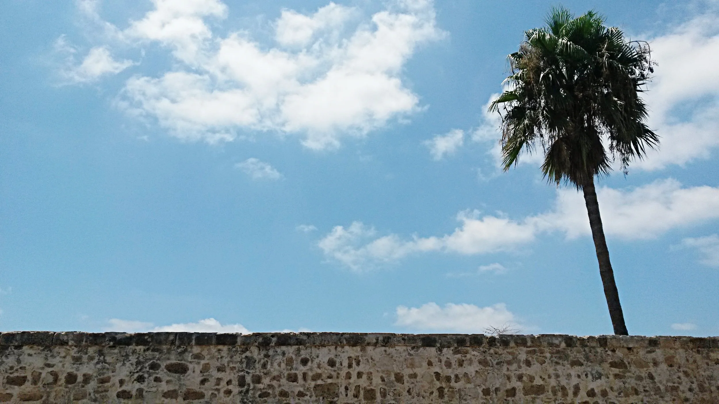 20160728_132037.jpg