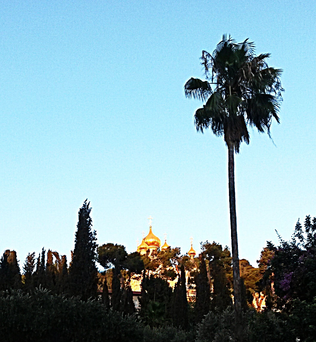 20160725_191949.jpg