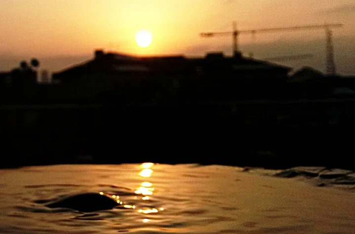 20160801_062756.jpg