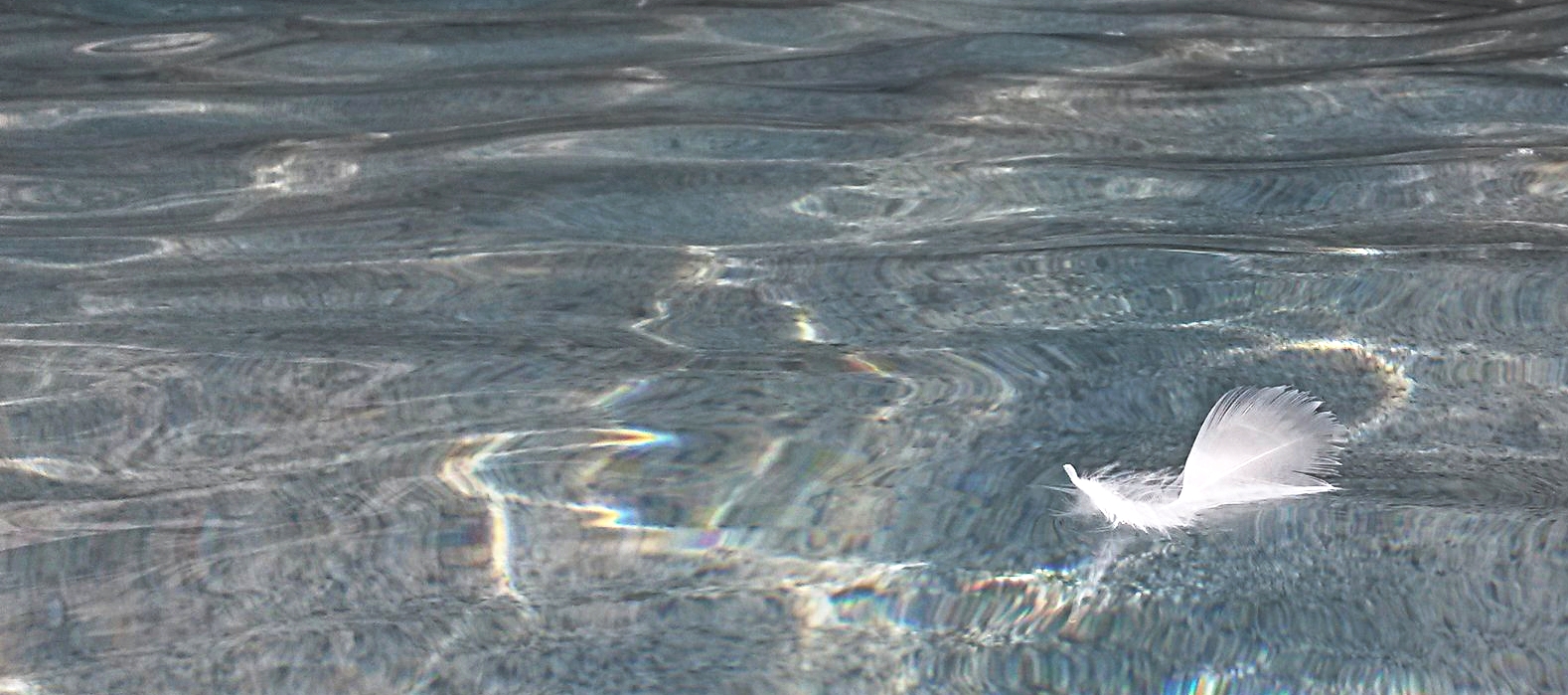 20161125_140816.jpg