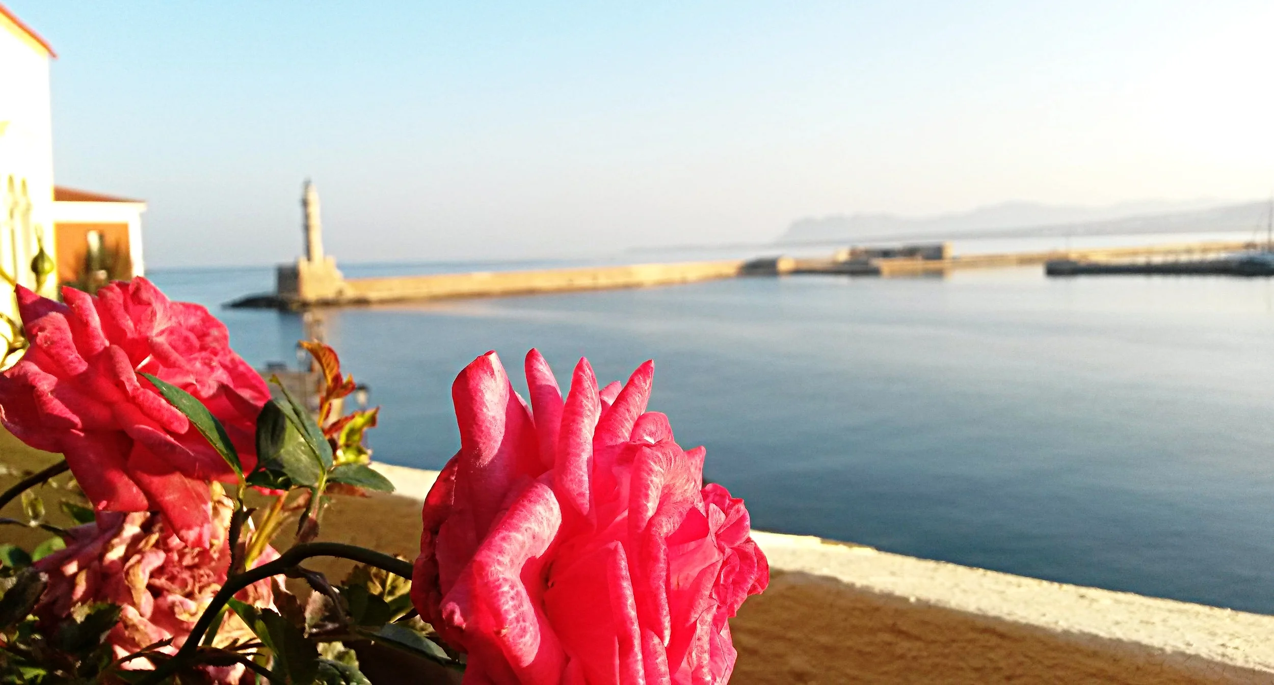 20161126_080251.jpg