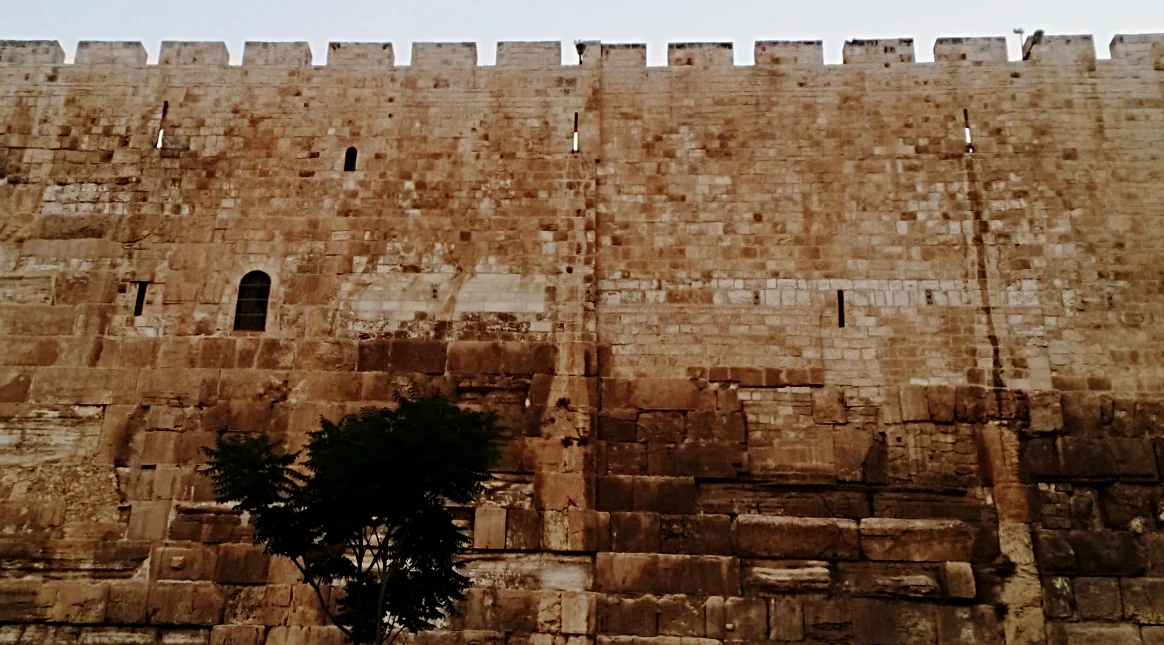 20160725_193658.jpg