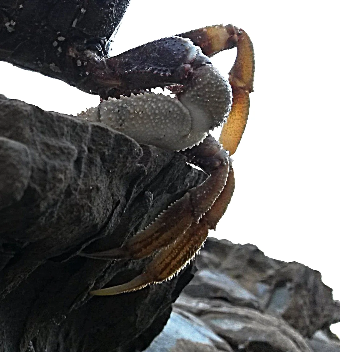 20170314_170108.jpg