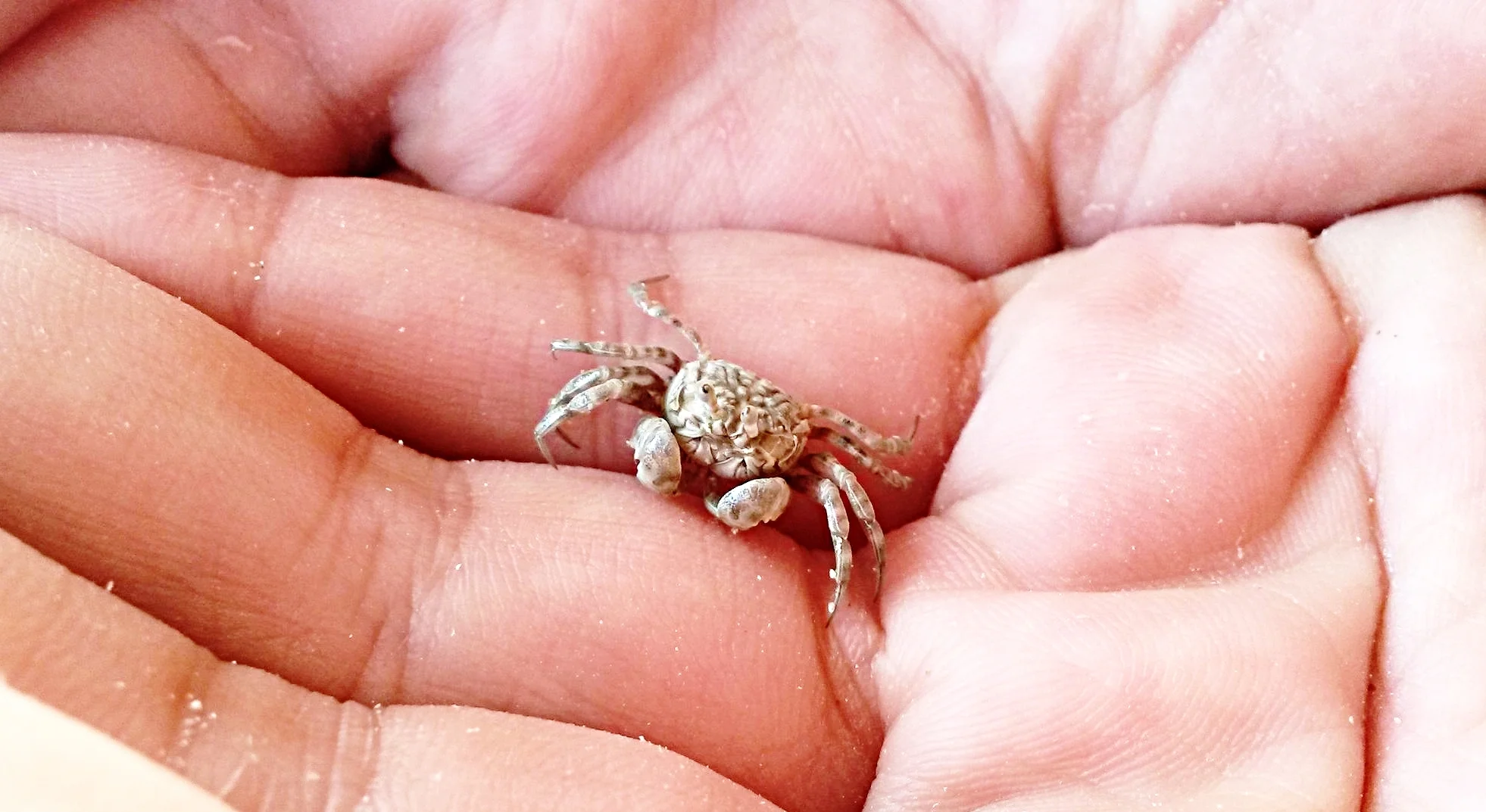 20170313_160014.jpg