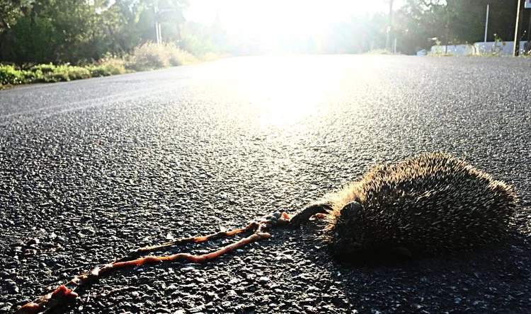 roads.jpg
