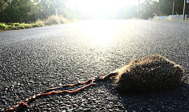 roads.jpg