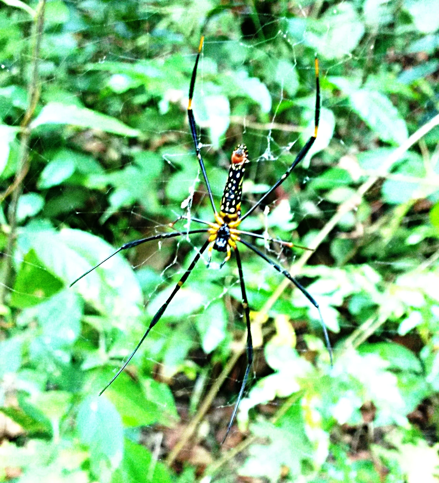 20170310_171446.jpg