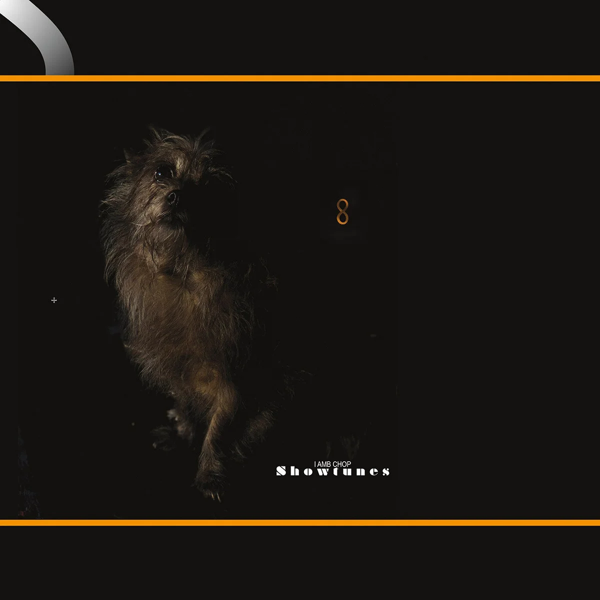 Lambchop - Showtunes.jpg
