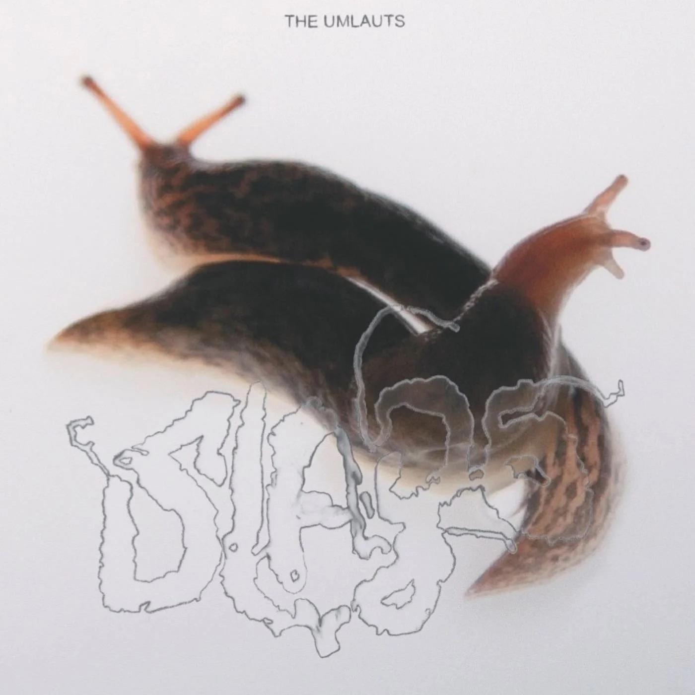 Slags Packshot.jpg