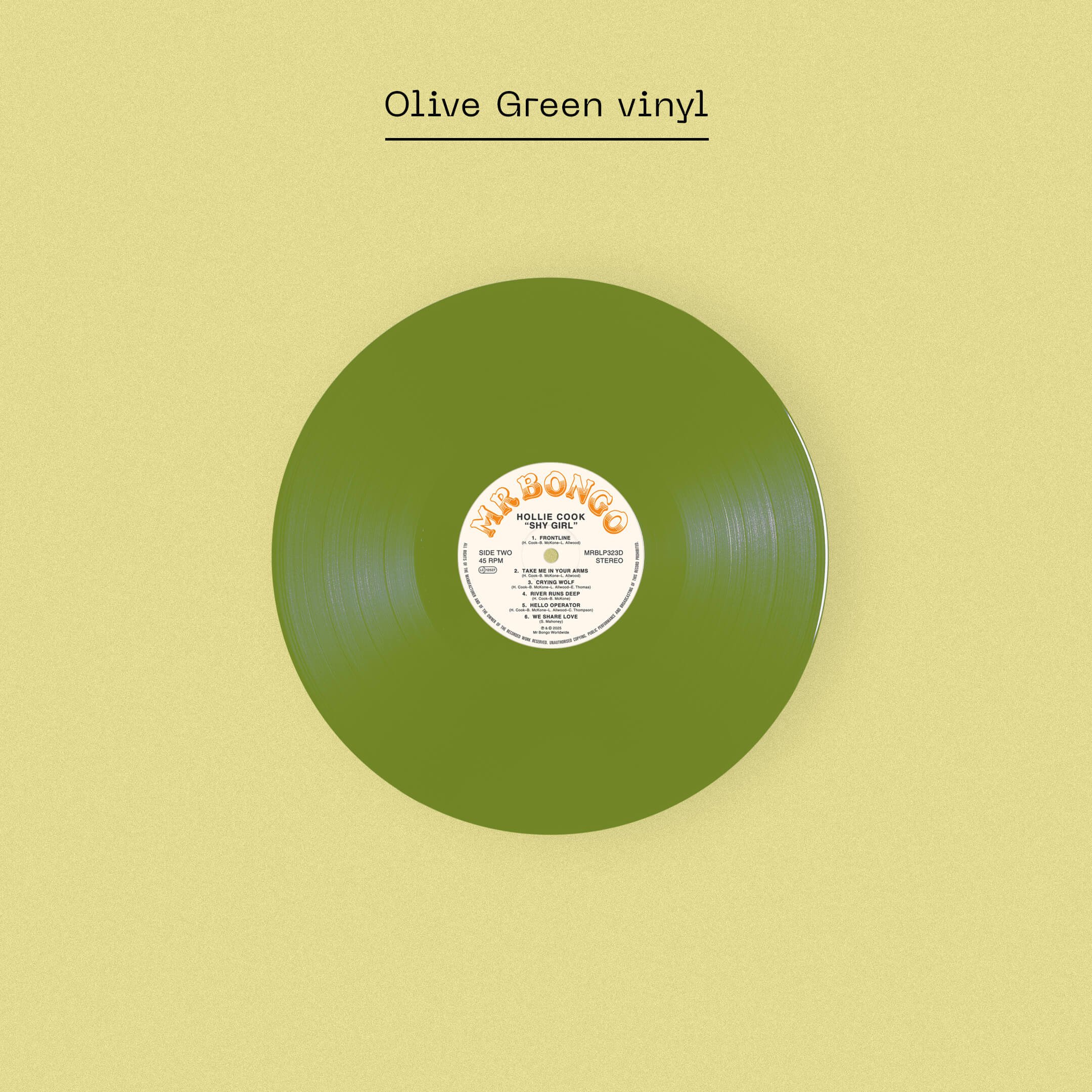 363_Vinyl.jpg