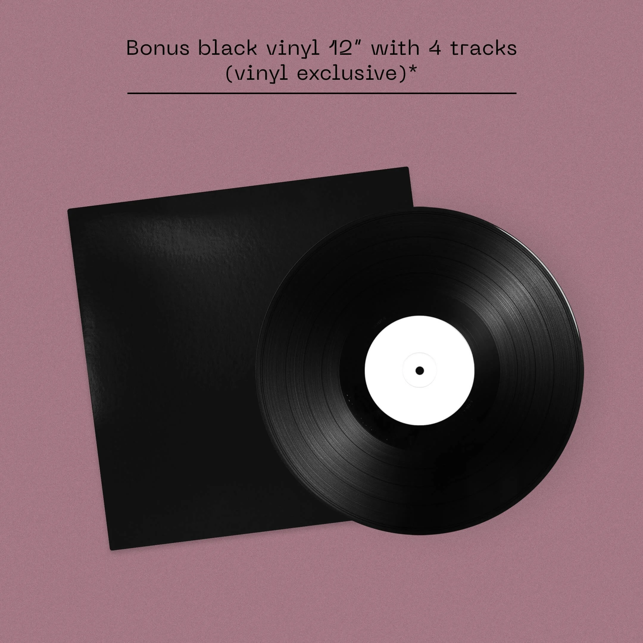369_Vinyl_B.jpg