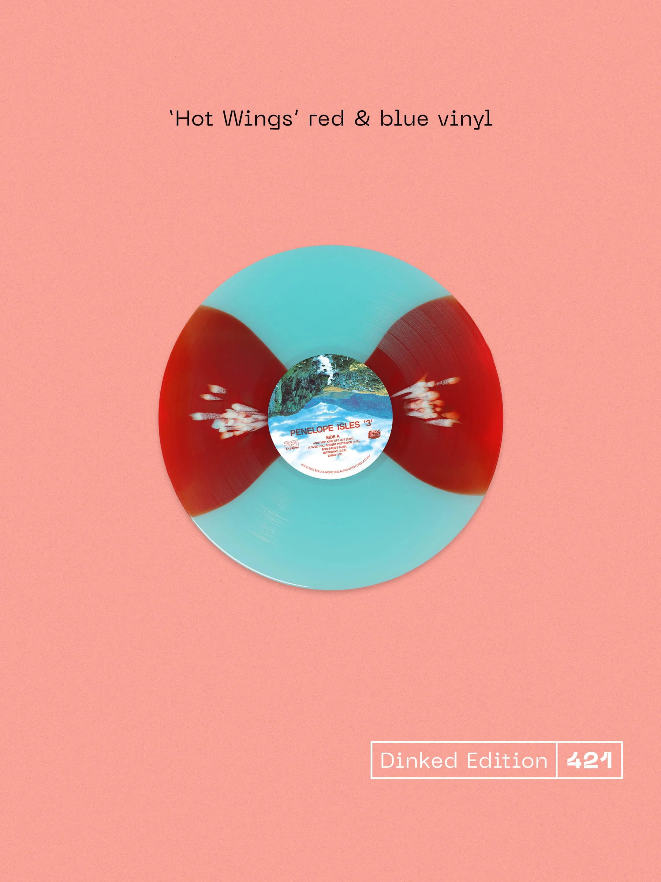 421_vinyl.jpg