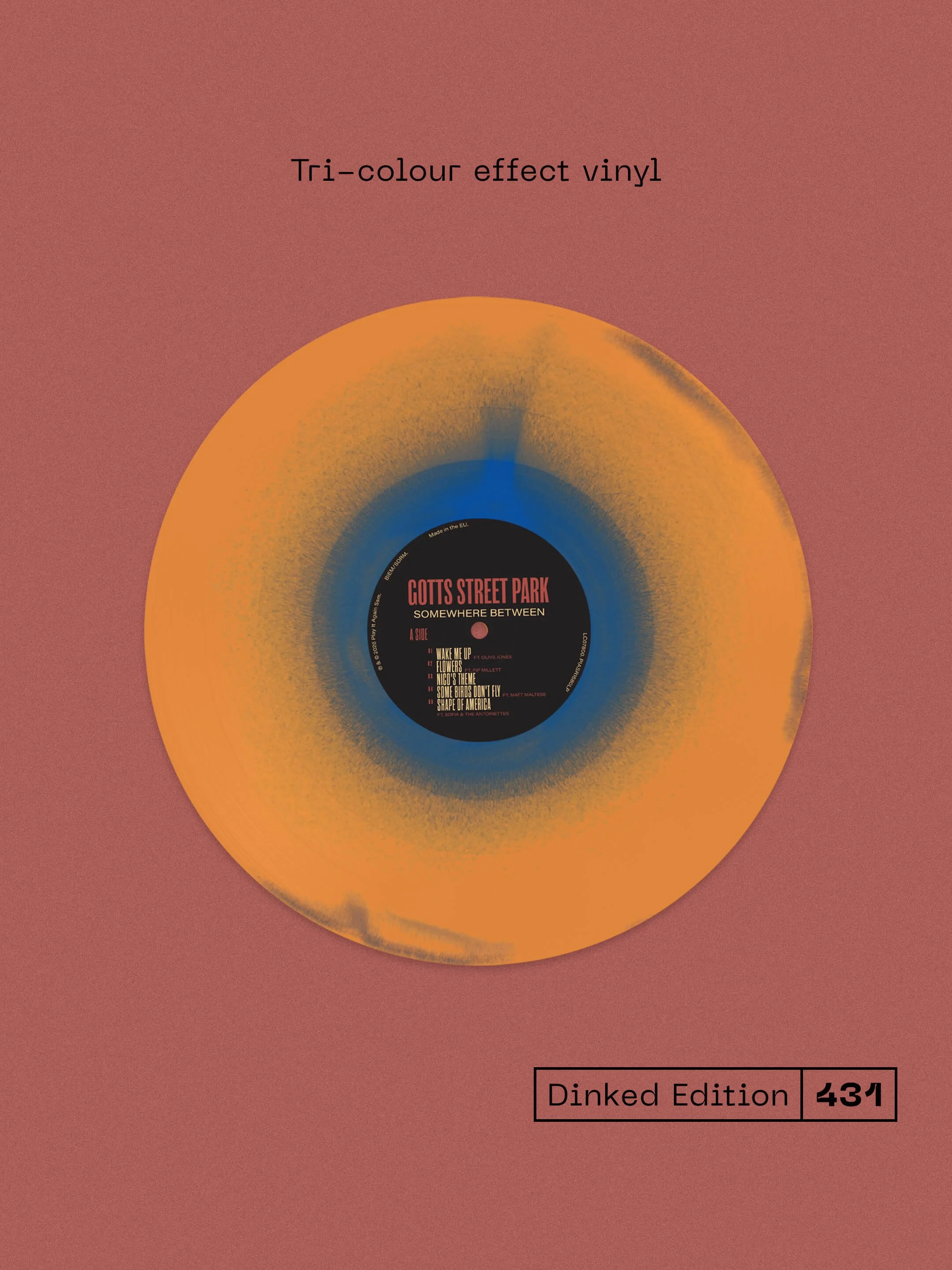 431_Vinyl.jpg