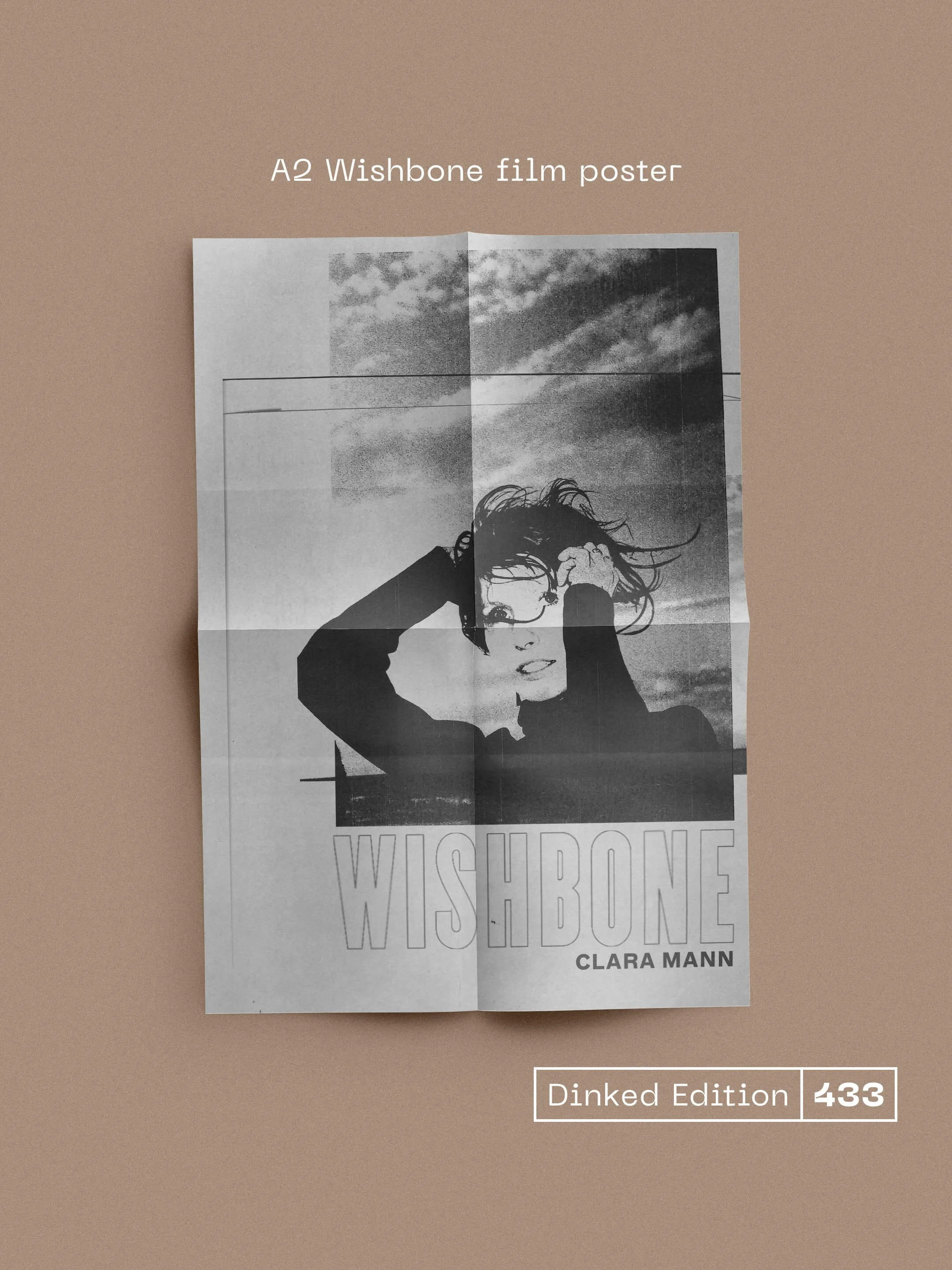 433_Poster.jpg