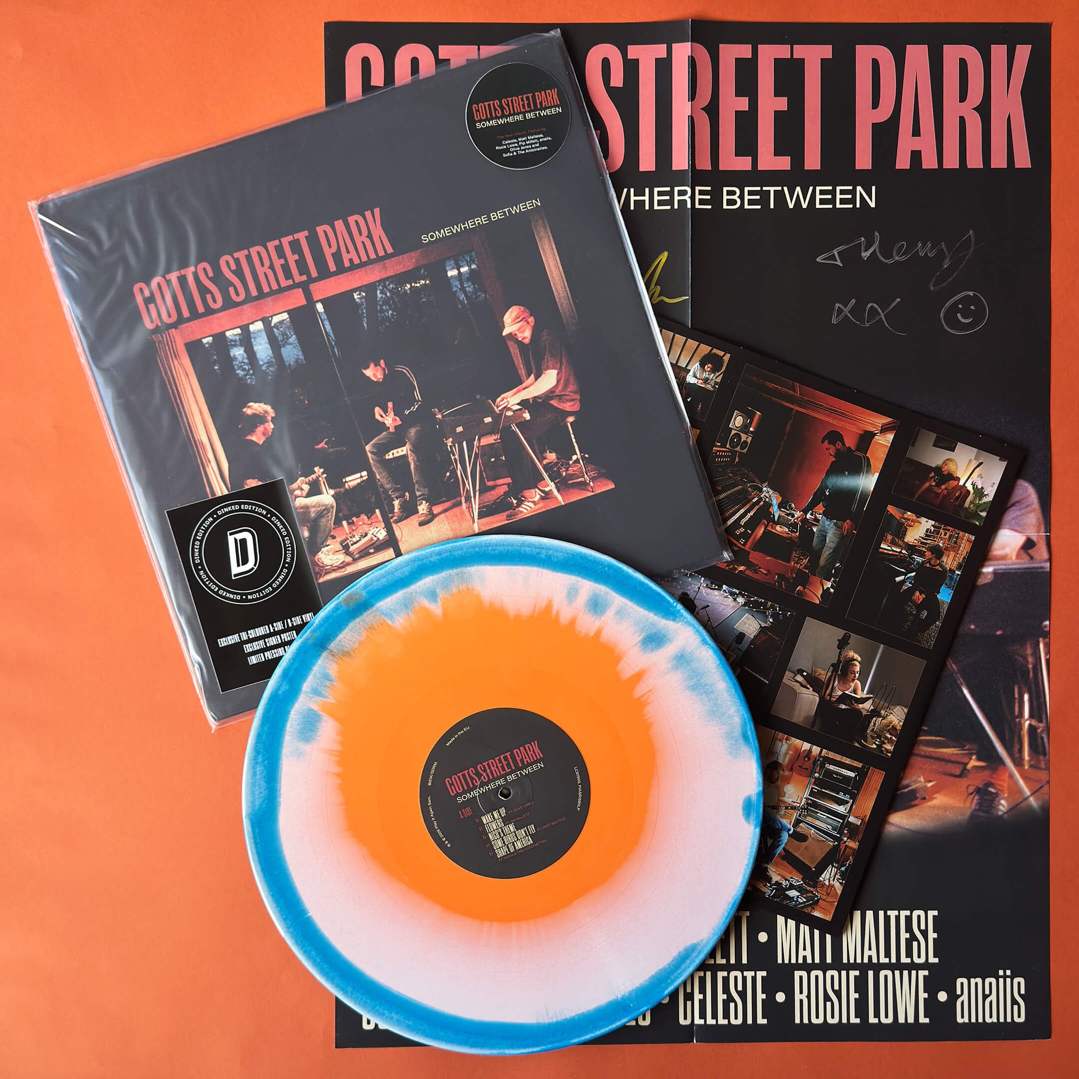 Gotts Street Park - Somewhere Between