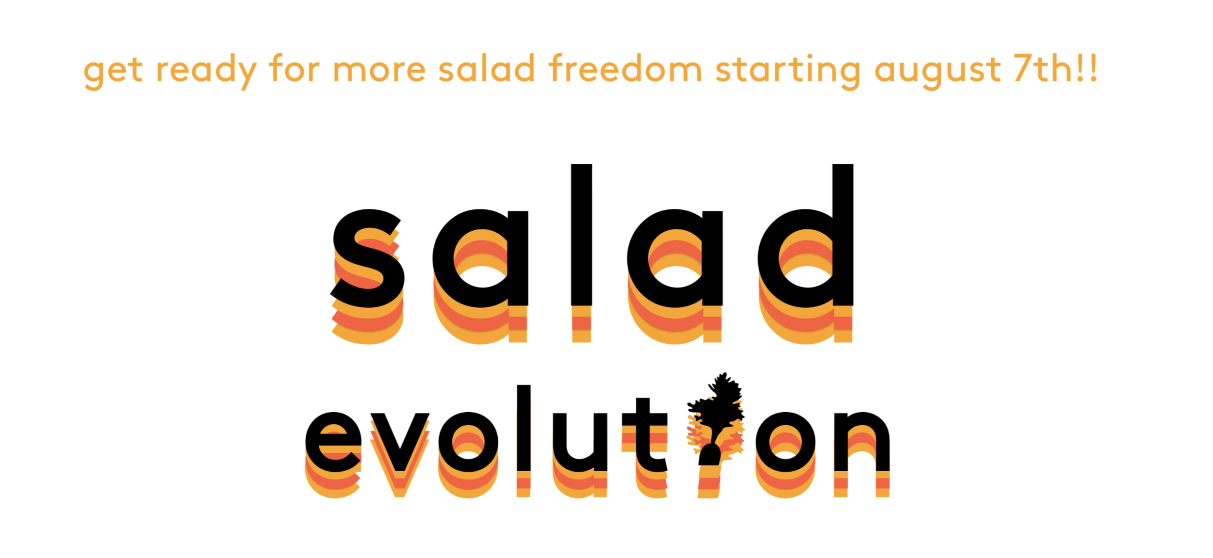 salad-lunch-portland.png