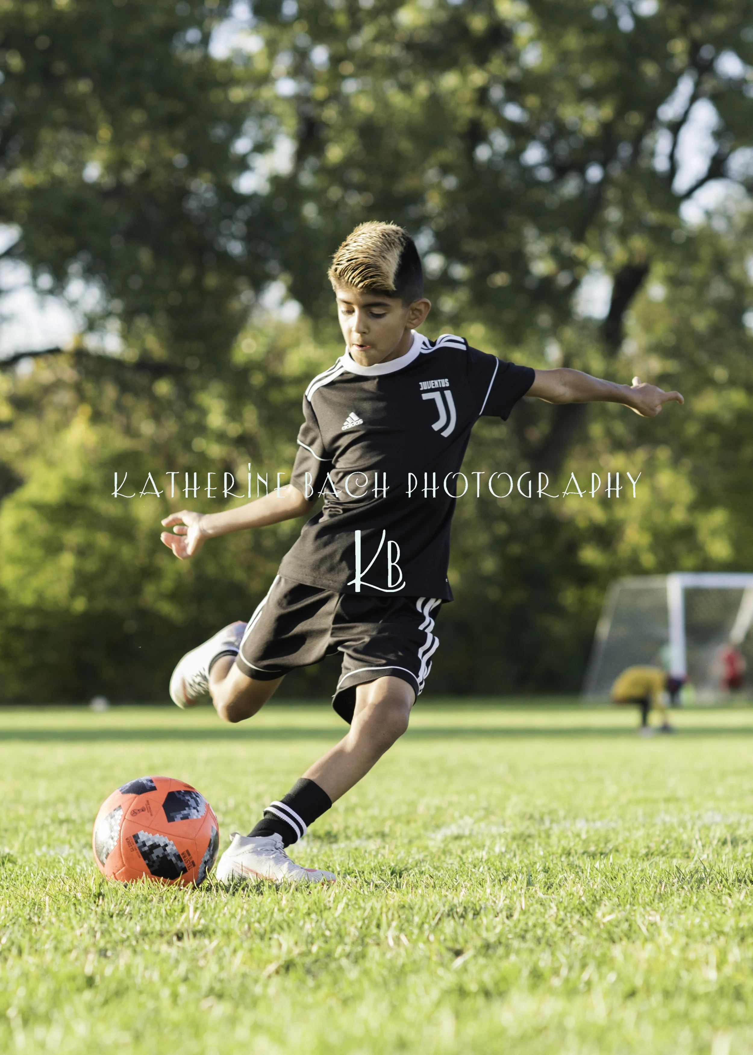 20181019-Niko-064proof.jpg