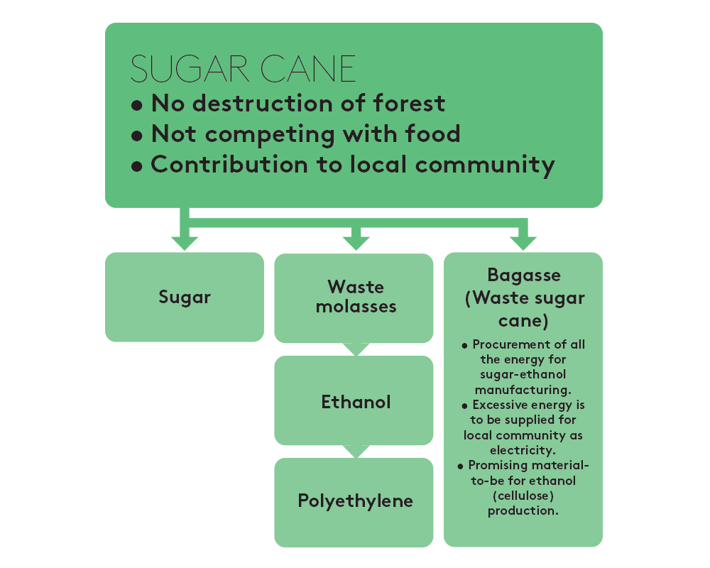 sugarcane-flow2.png