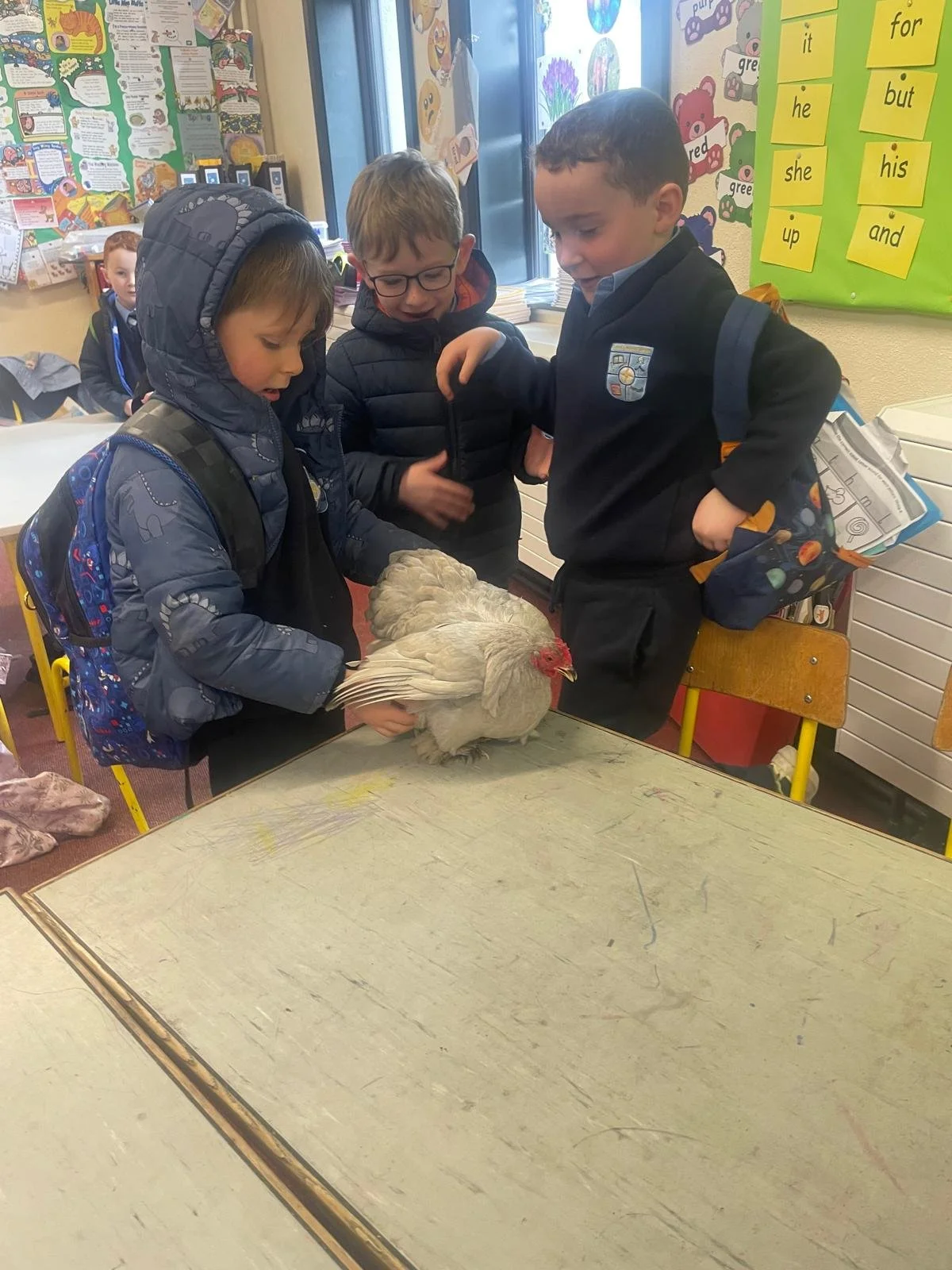 J Infants Chicks 2.jpg