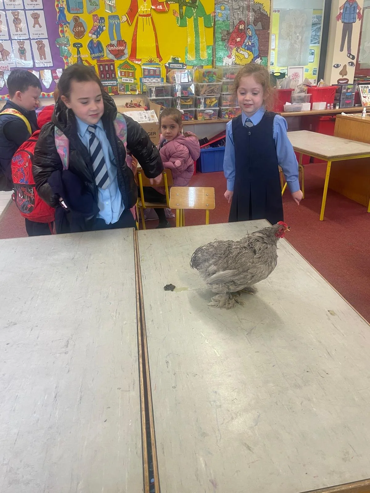 J Infants Chicks 3.jpg