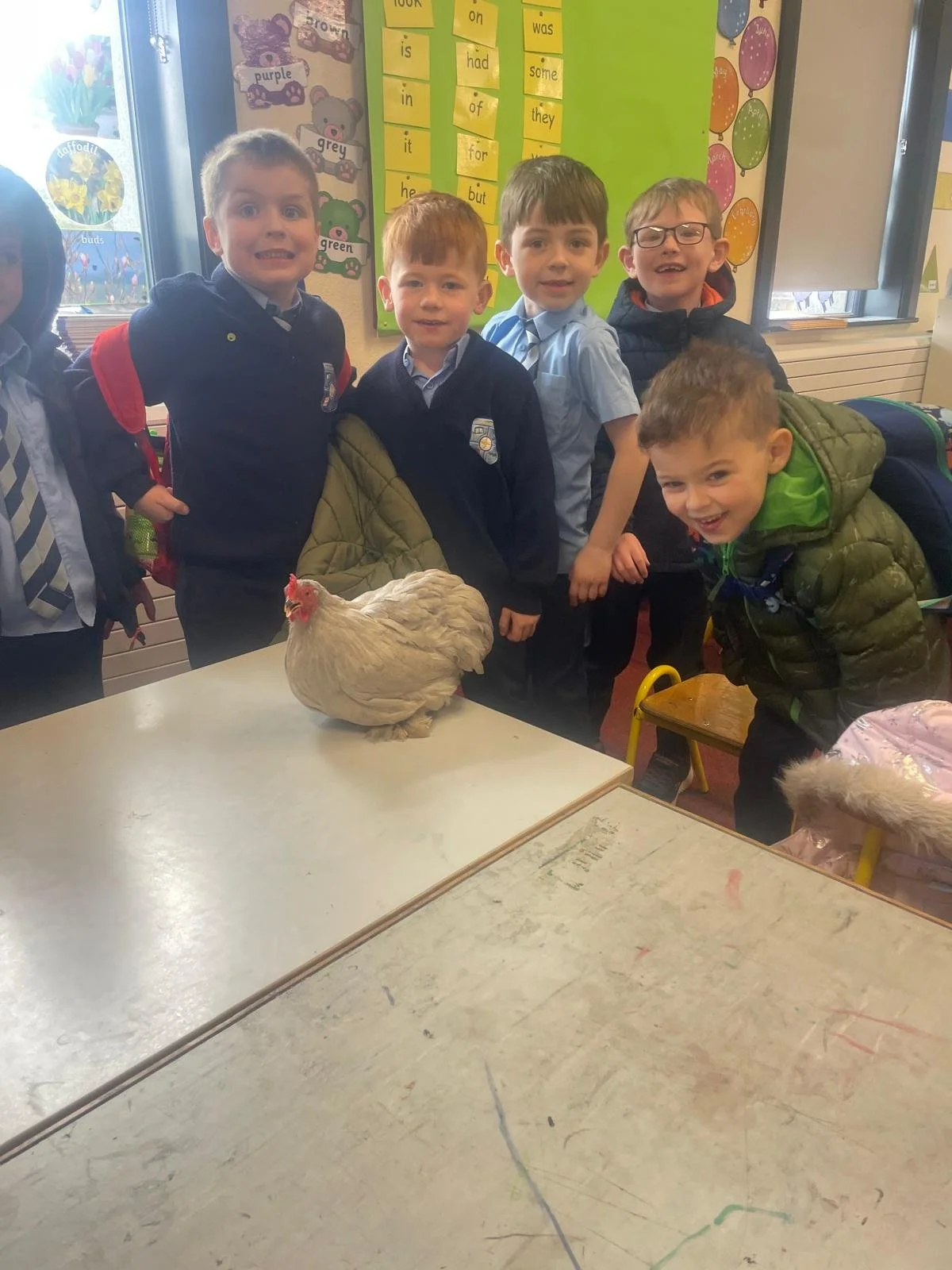 J Infants Chicks 4.jpg