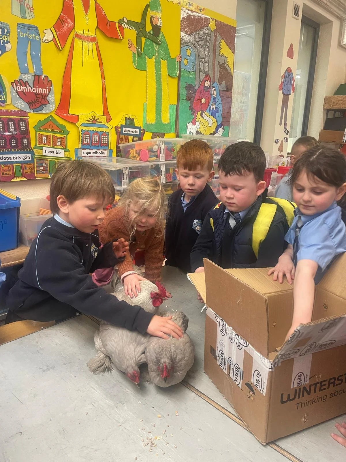 J Infants Chicks 5.jpg