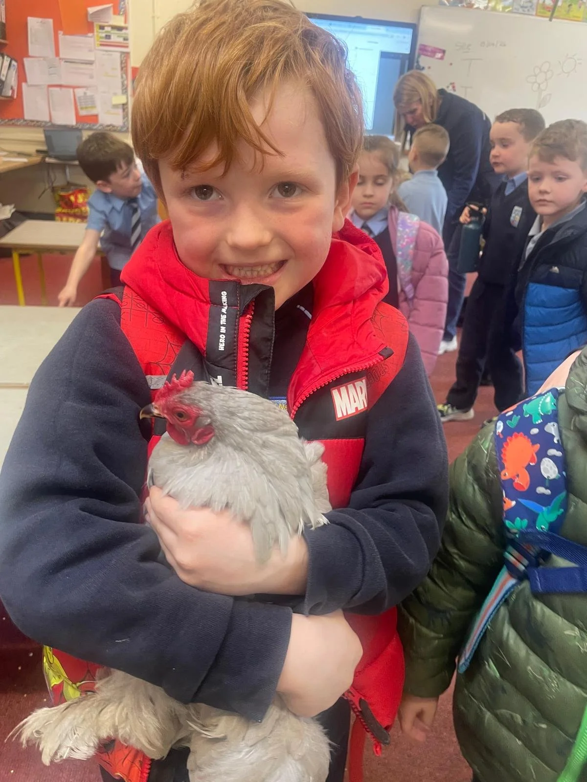 J Infants Chicks 6.jpg