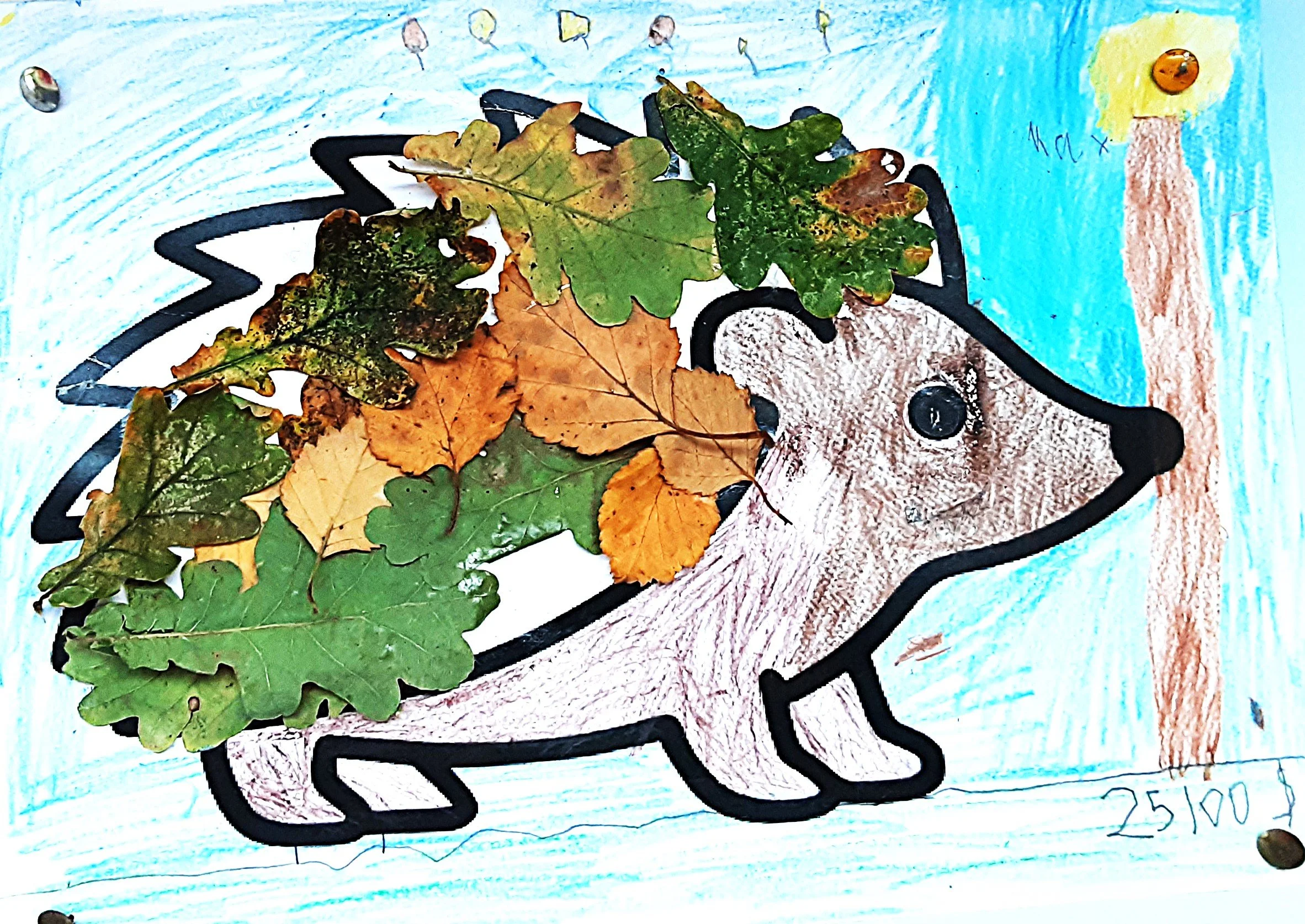 20260925_153127.jpg