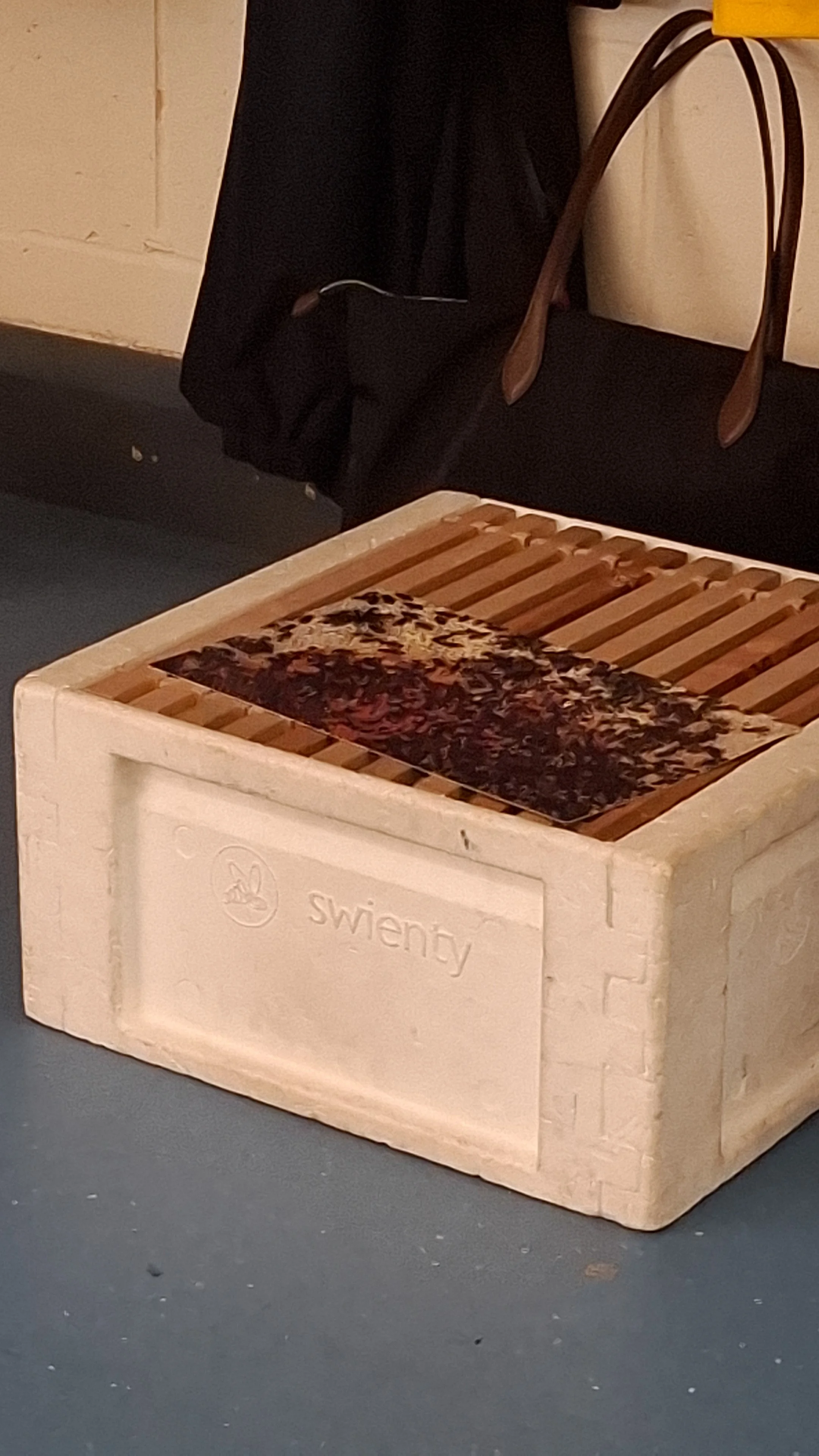 IMG-20260923-WA0001.jpeg