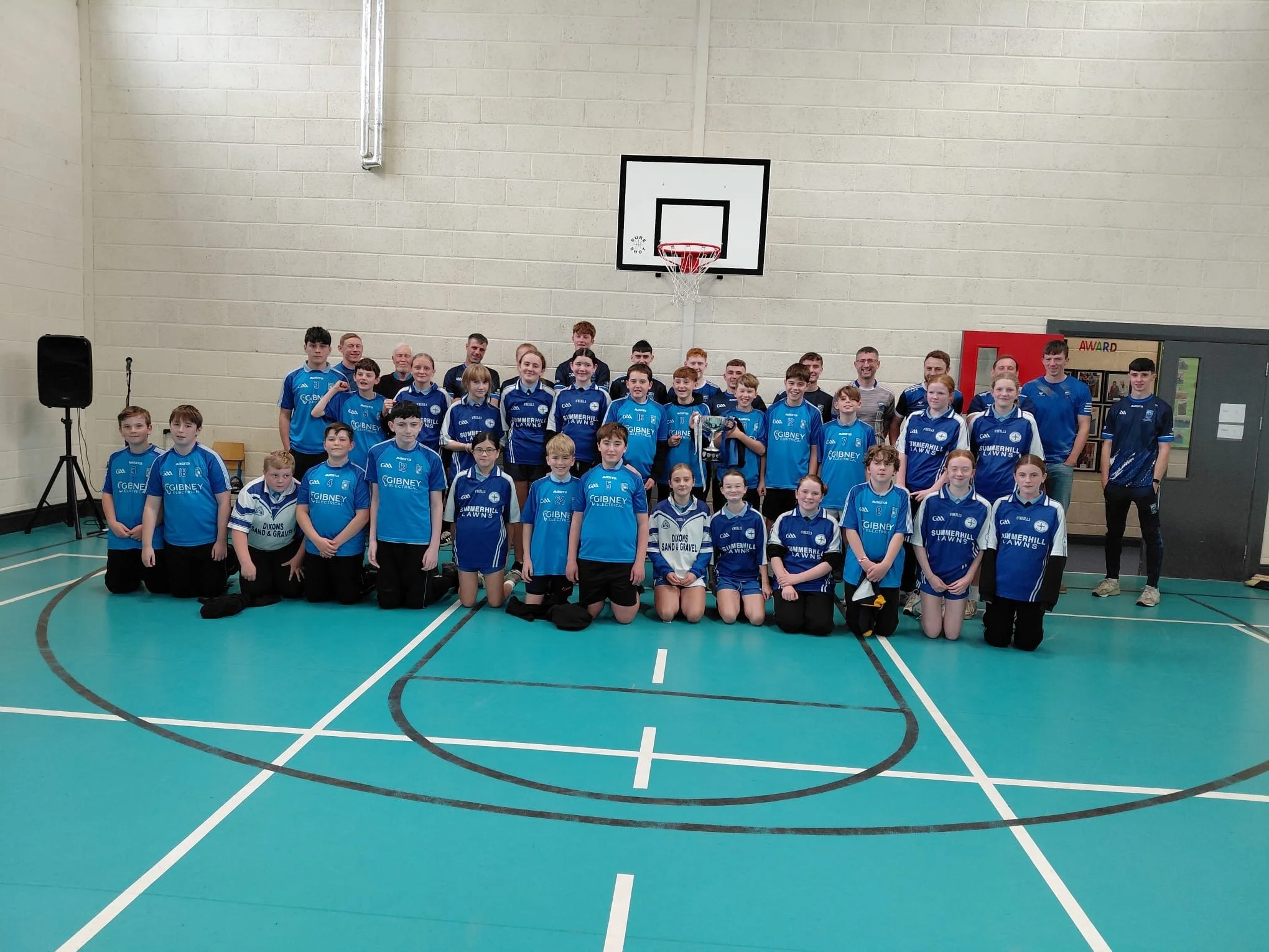 Bmill Hurling 4.JPG