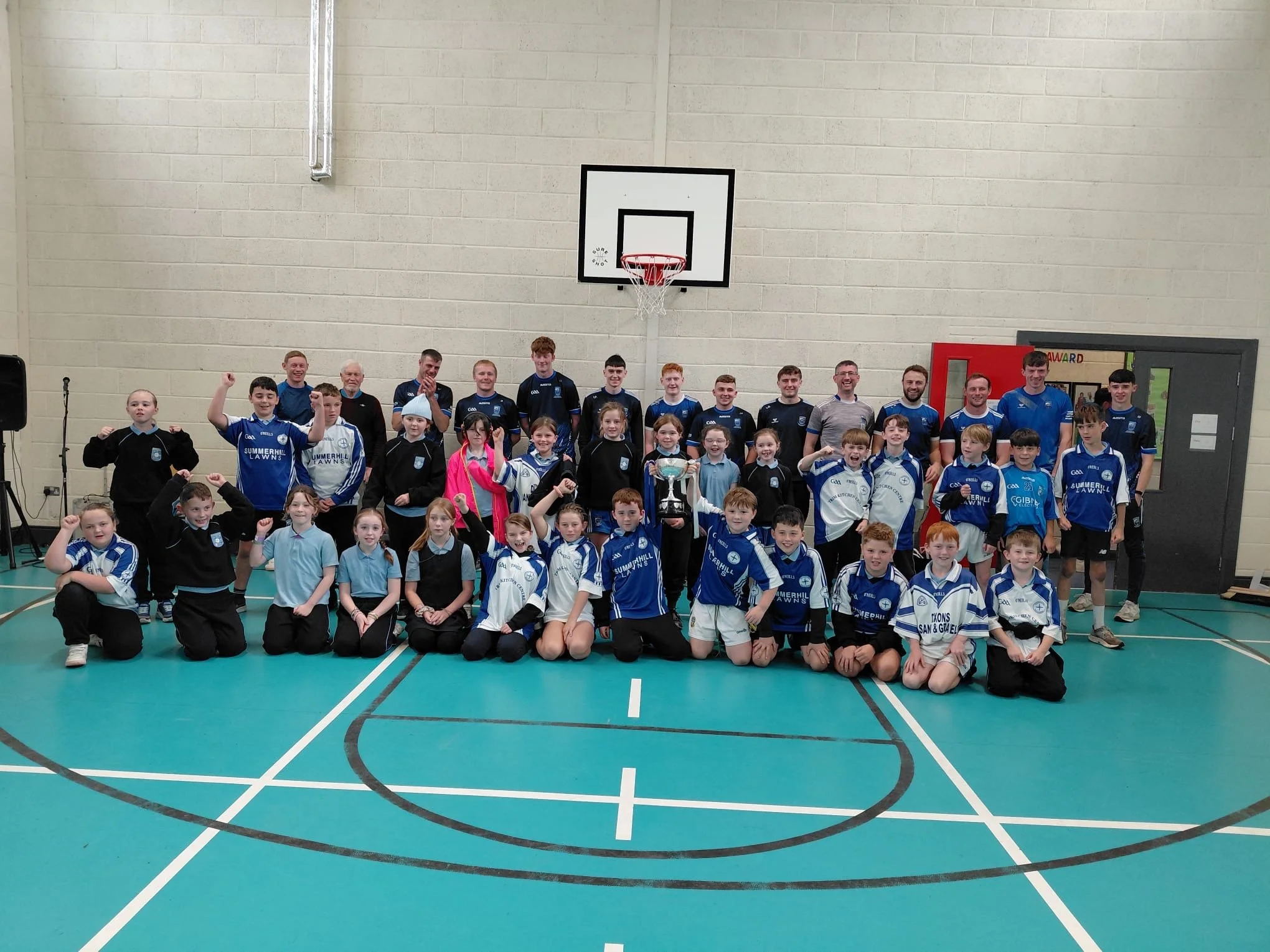 Bmill Hurling 5.JPG