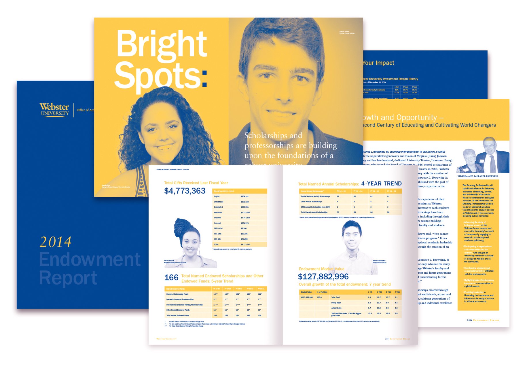 Advancement / Development Communications