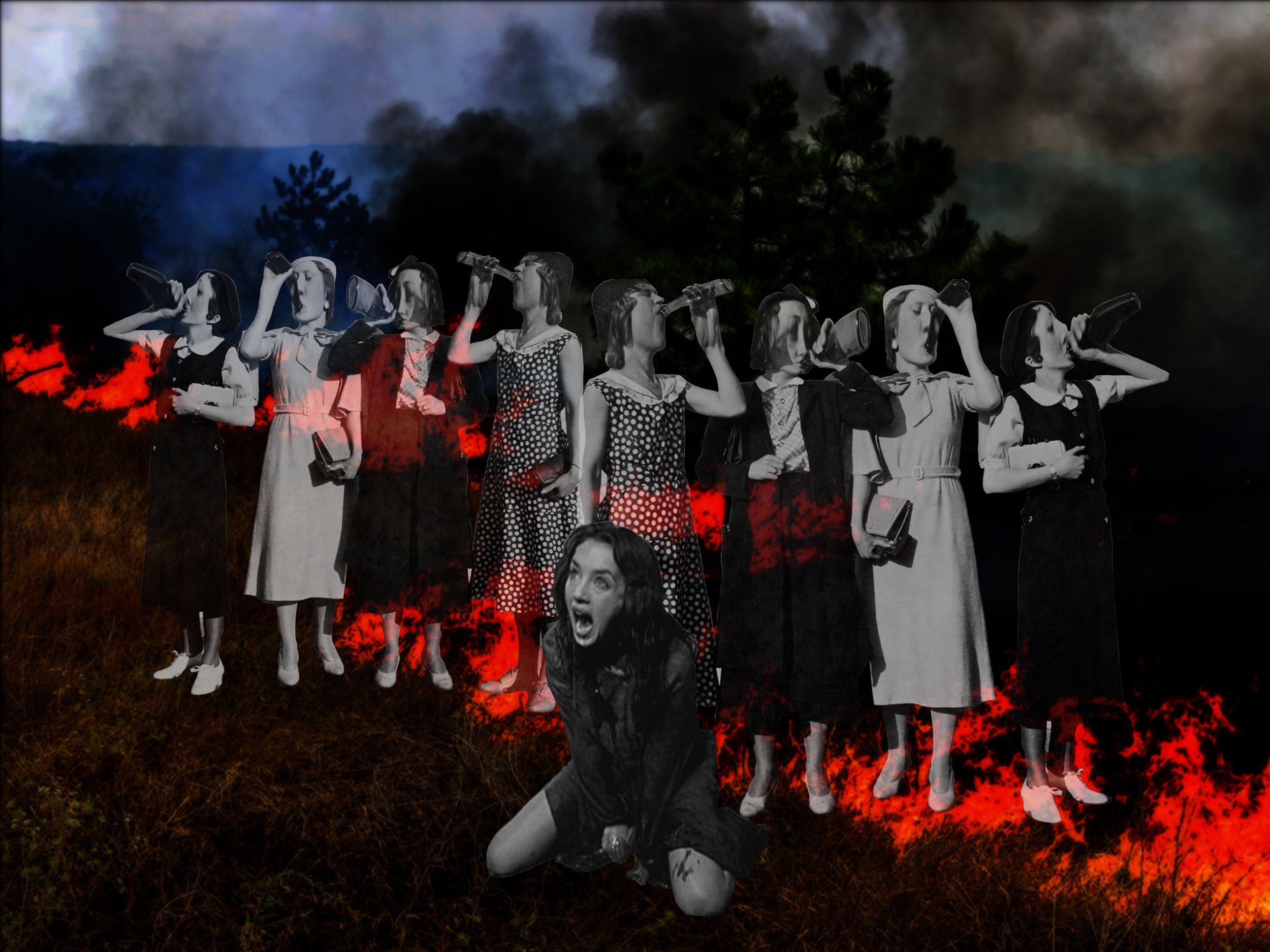 Drink While the World Burns (Isabelle Adjani) (assorted c-prints and mixed media) (2019)