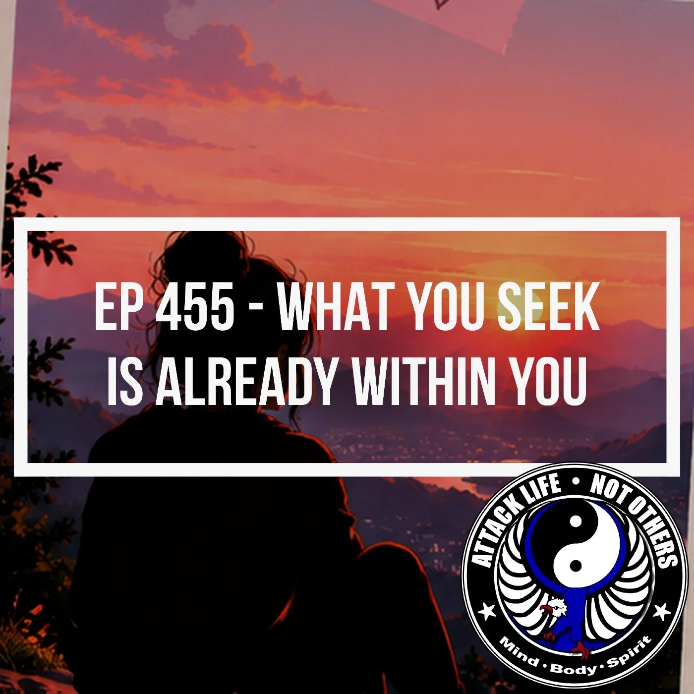 Ep 455 - What You Seek Is Already Within You