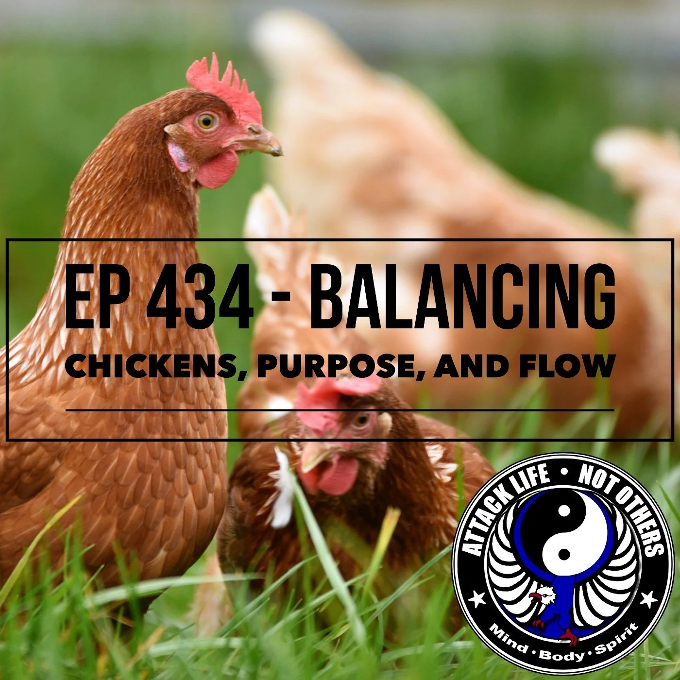 Ep 434 - Balancing Chickens, Purpose, and Flow