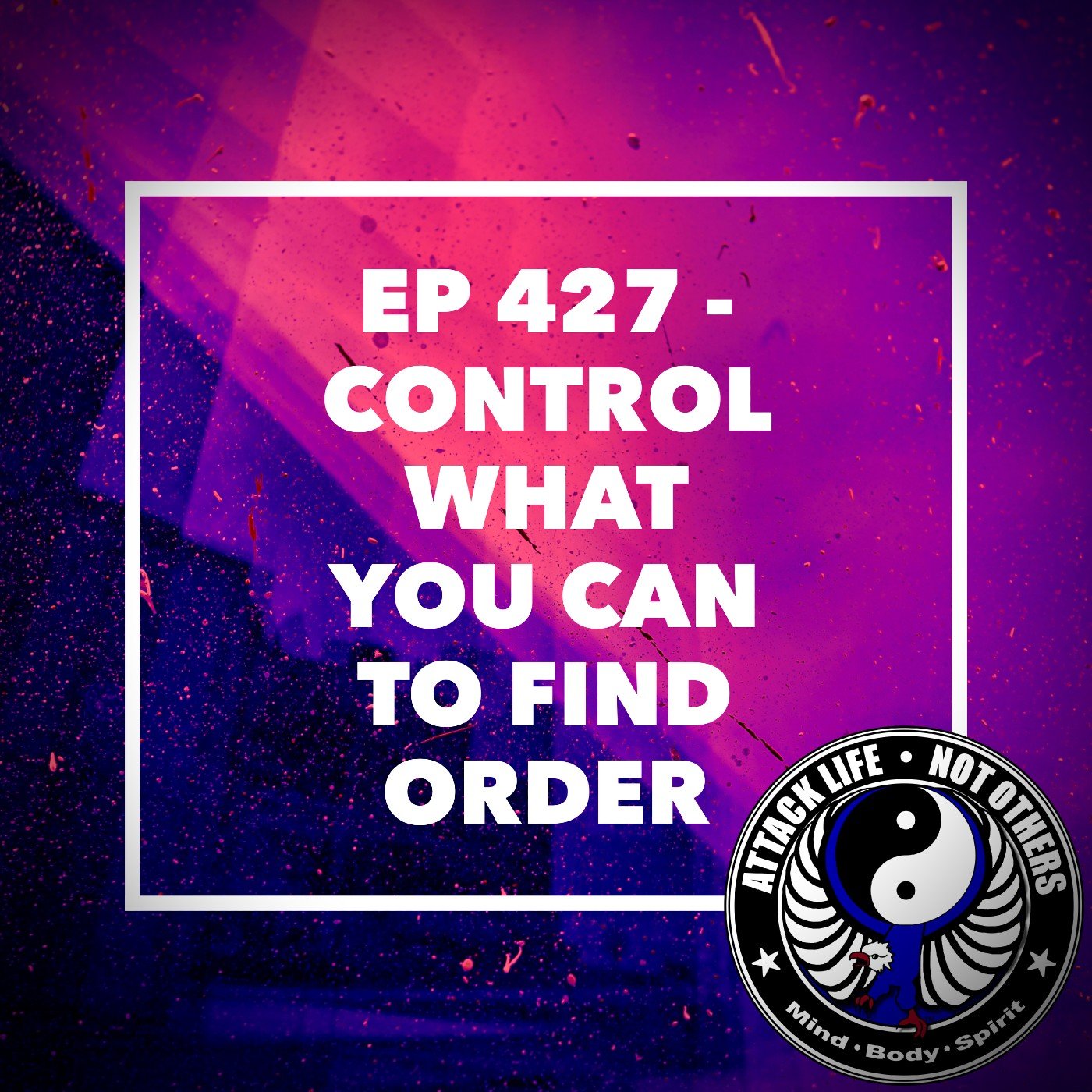 Ep 427 - Control What You Can to Find Order